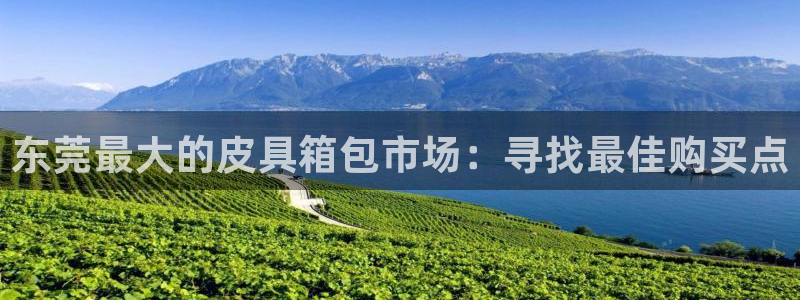 必一体育下载入口