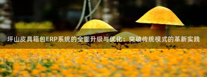 必一体育在线官网