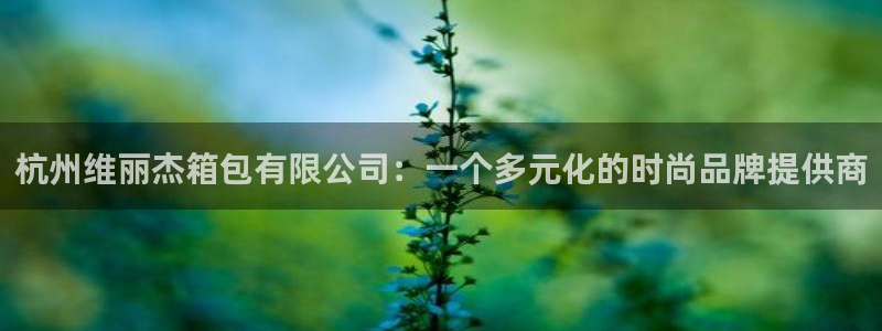 必一体育周公
