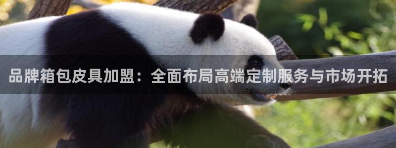 必一体育APP