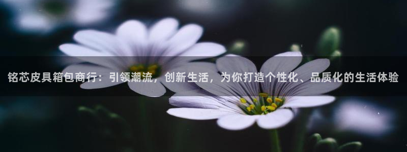 氵必一一厂一