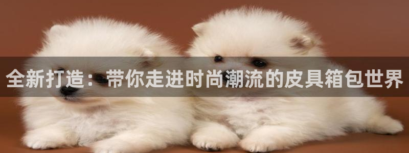 必一体育app下载