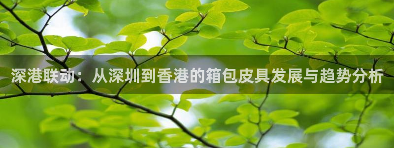 必一体育app官方