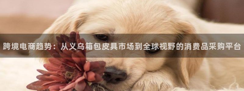 必一体育周公