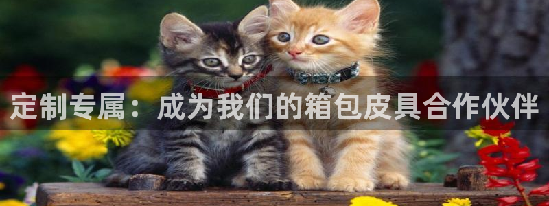必一运动验证码