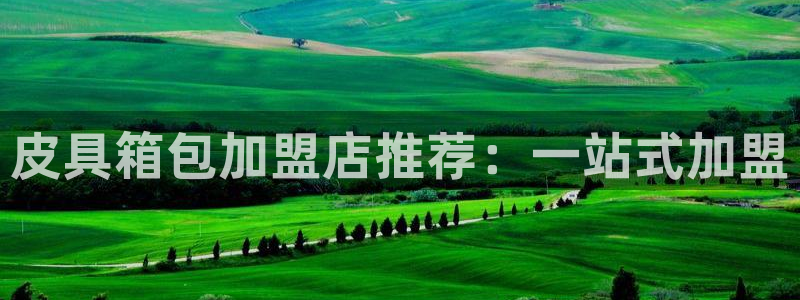 必一体育sportB体育