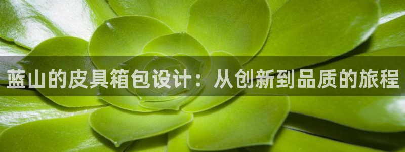 必一运动体育官网
