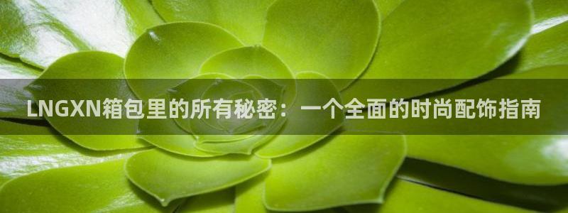必一体育网页登录版官网
