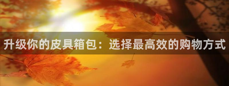 必一体育是啥