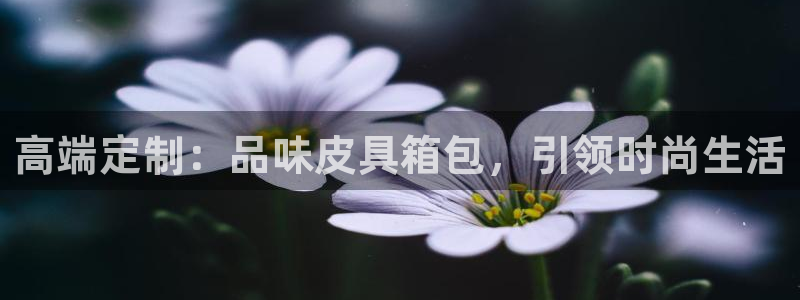 必一运动·(B-sports)