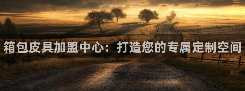 必一运动 b 体育素描版