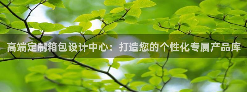 必一体育sport官网