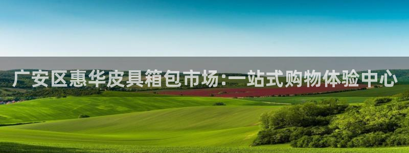 必一体育在哪下