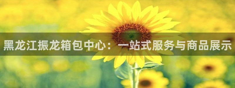 必一体育能提现大金额吗