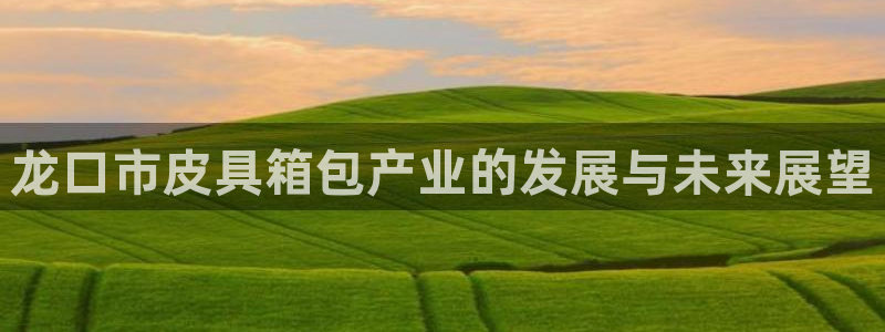 必一体育运动官网