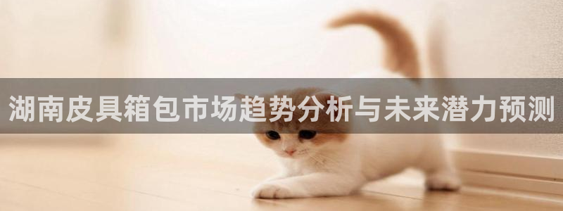 必一体育运动app下载