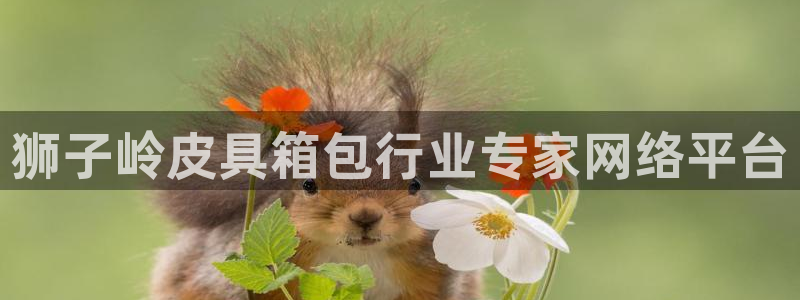 必一体育登录入口