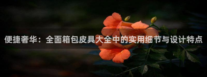 必一体育没了