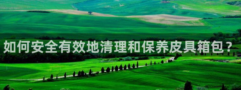 必一体育网址