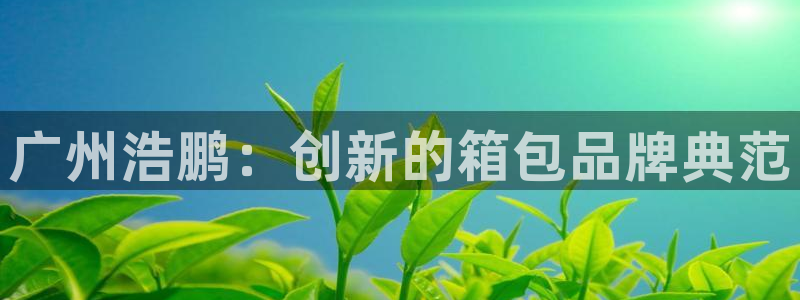 必一体育网站