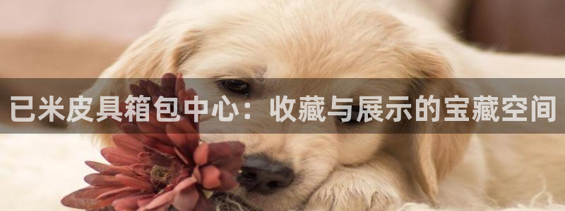 必一体育皮尔斯