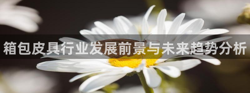 必一体育游戏玩法