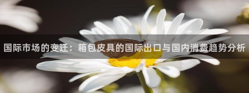 必一体育下载入口