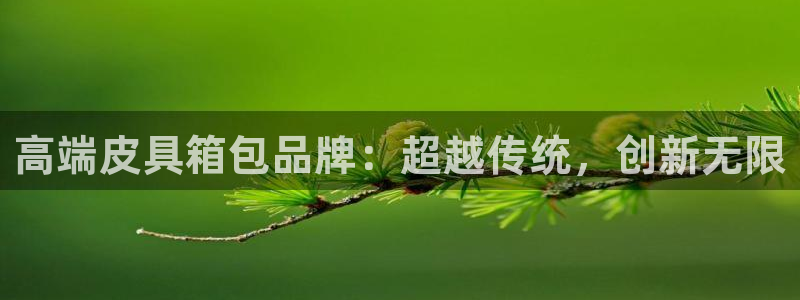 必一体育app下载装机吧