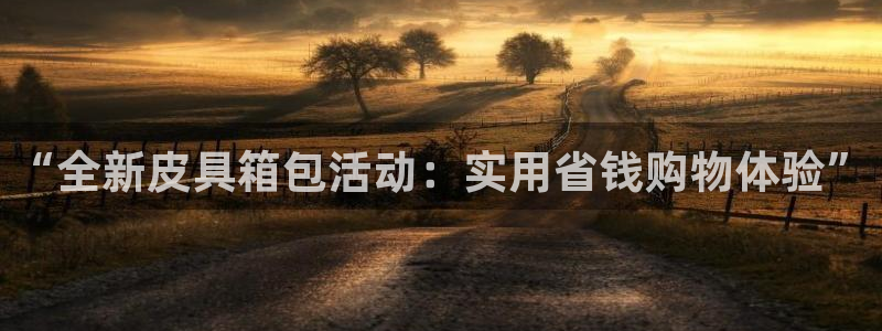 必一体育app下载装机吧