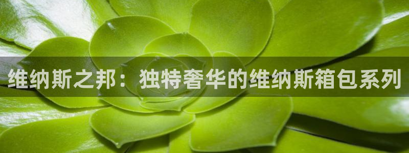 必一体育在线登陆