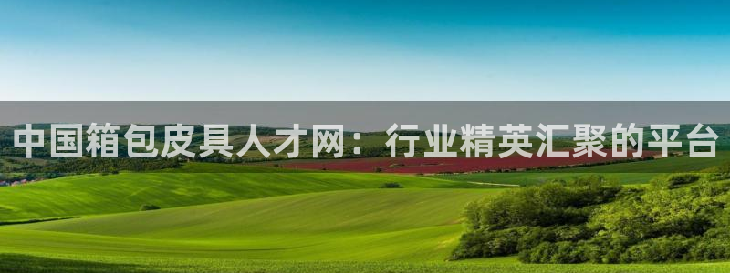 必一体育下载意思