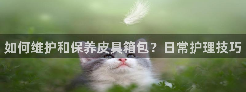 必一体育sport