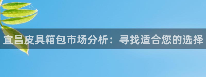 必一运动 b 体育素描版