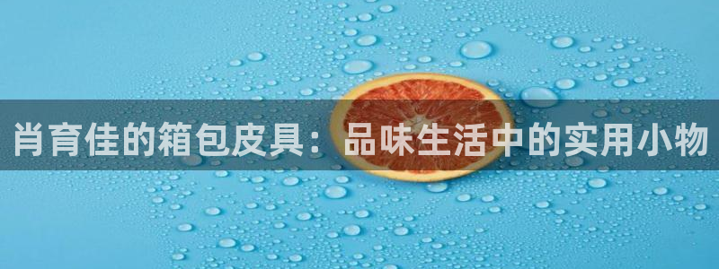 必一体育最新官网入口首页
