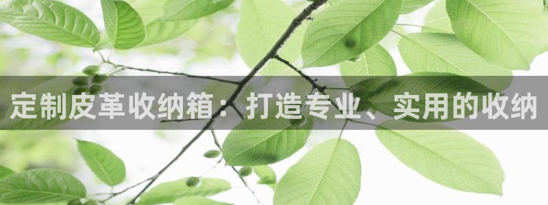 必一体育登陆