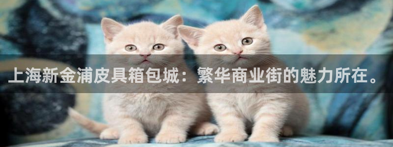 必一体育游戏特色
