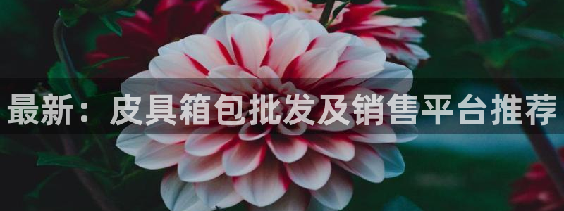 必一运动体育app