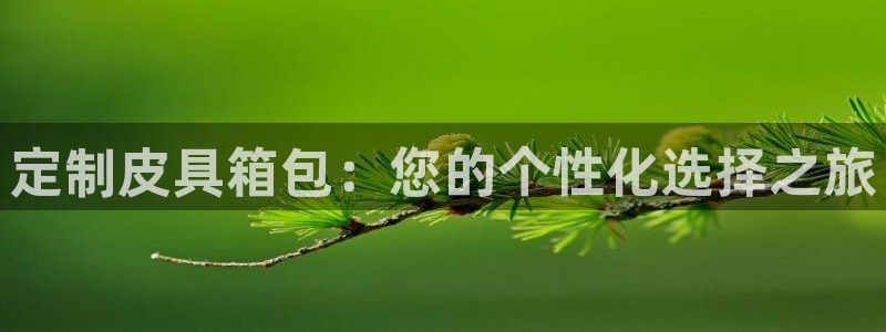 必一体育app官方网站