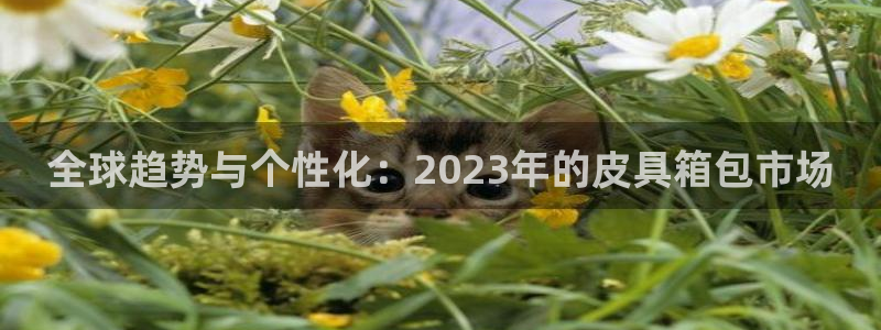 必一体育网页版登录