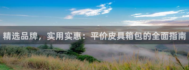 必一运动体