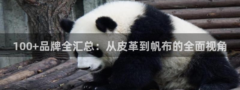 必一运动tieba.baidu.com
