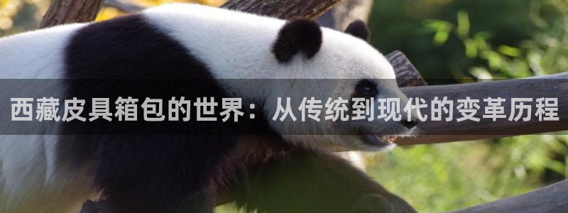 必一体育