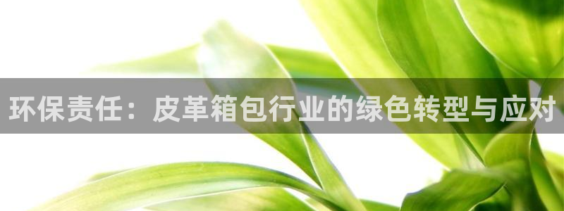 必一体育app下载最新版本苹果