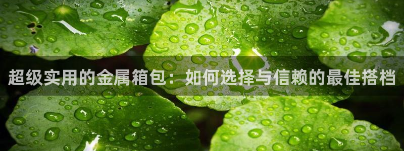 必一体育bsport下载