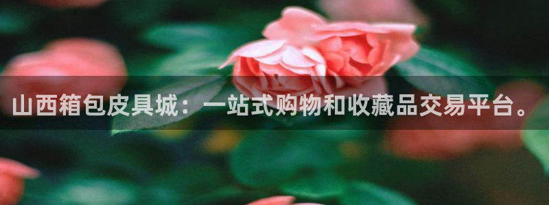 必一体育下载登入