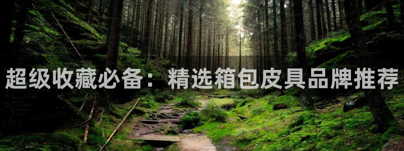 必一体育bsport下载