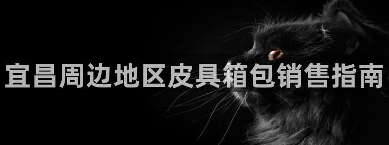 必一体育是哪里的台子