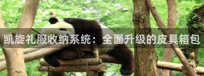 必一运动官网平台