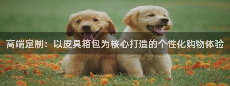 必一体育在线入口