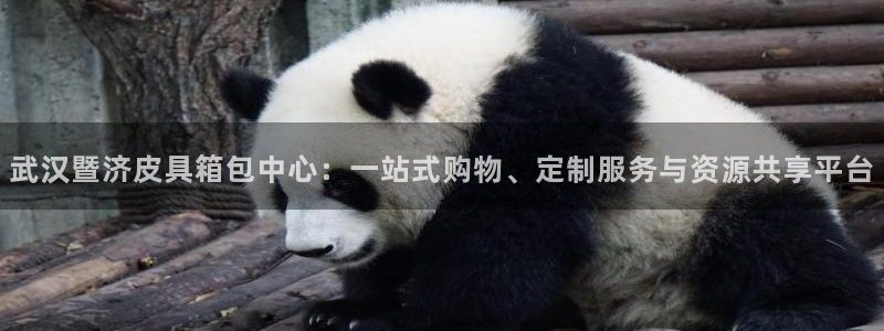 Bsport体育app必一